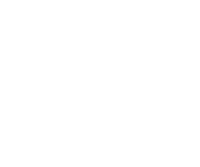 I Am Next Logo White